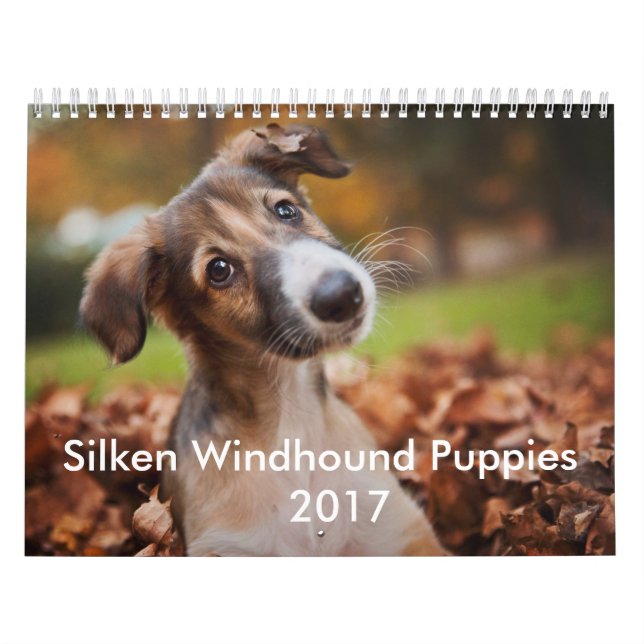 Silken Puppy Calendar 2017 (Cover)