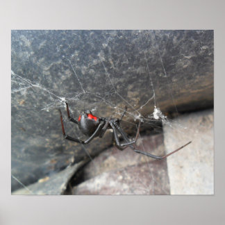 Silken Strands Poster