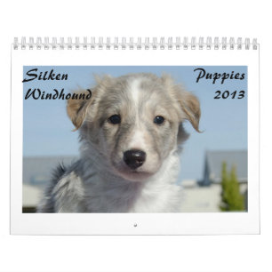 Silken Windhound Puppies 2013 Calendar