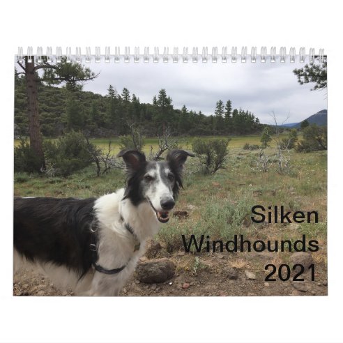 Download Adult Calendars | Zazzle.co.uk