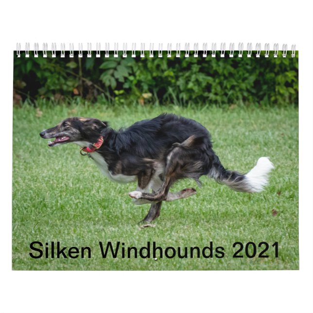 Silken Windhounds 2021 In Action Calendar (Cover)