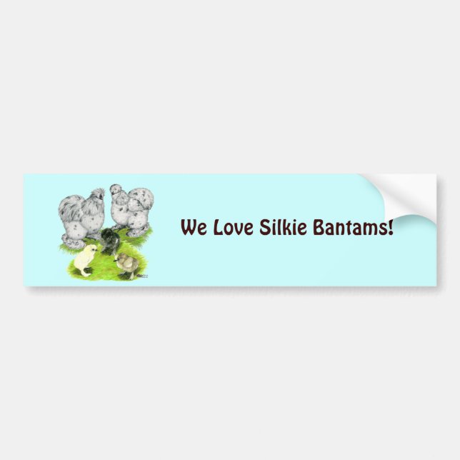 Silkie Bantam Splash Family Bumper Sticker (Front)
