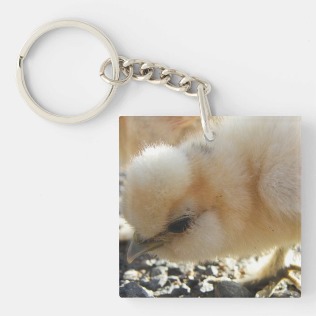 Silkie Chick Keychain (Front)