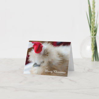 Silkie Chicken Christmas Card