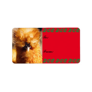 Silkie Chicken Close Up Christmas Gift Tag