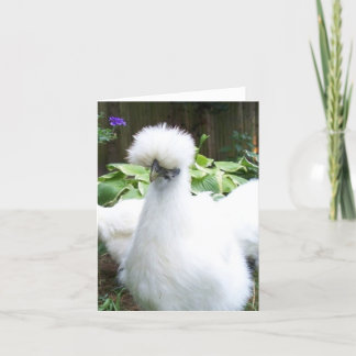 silkie chicken greeting card