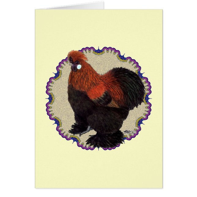 Silkie Circle (Front)