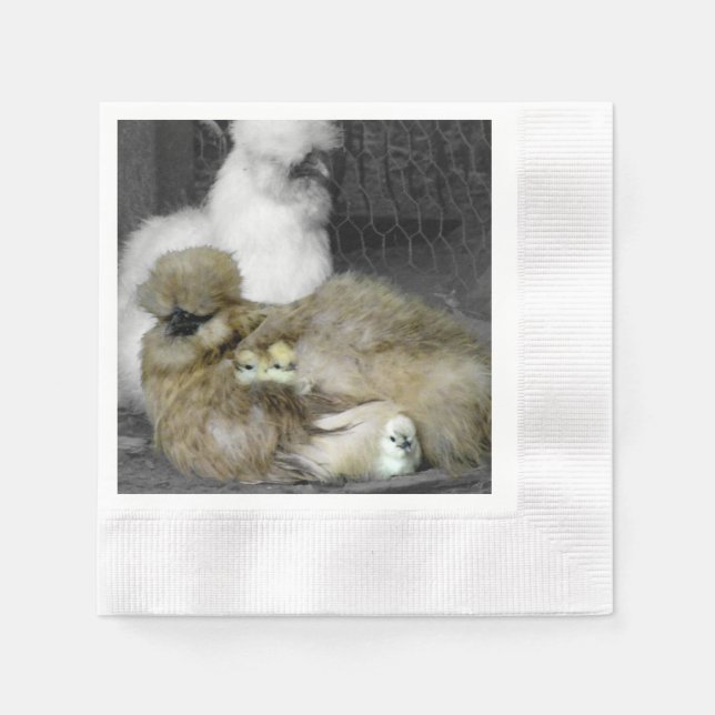 Silkie Hens with Chicks Peeking out of Feathers Napkin (Front)