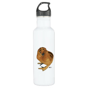 Silkie Red Chick 710 Ml Water Bottle