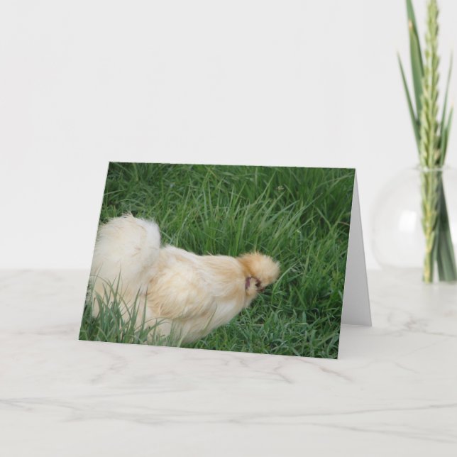 Silkie Rooster Card (Front)