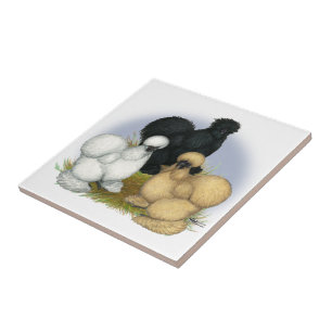 Silkie Trio Tile