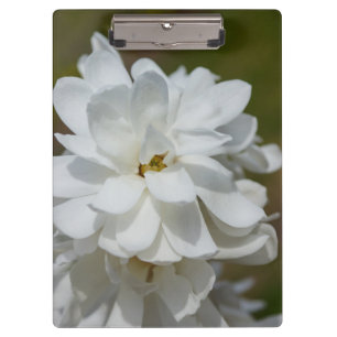 Silky Magnolia Clipboard