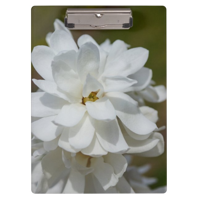 Silky Magnolia Clipboard (Front)