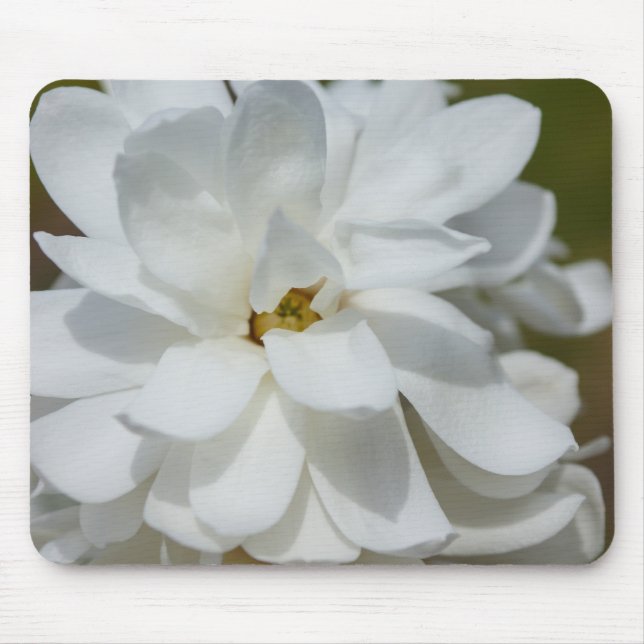 Silky Magnolia Mouse Mat (Front)