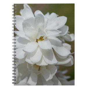 Silky Magnolia Notebook