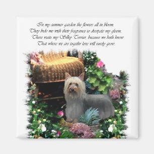 Silky Terrier Art Gifts Magnet