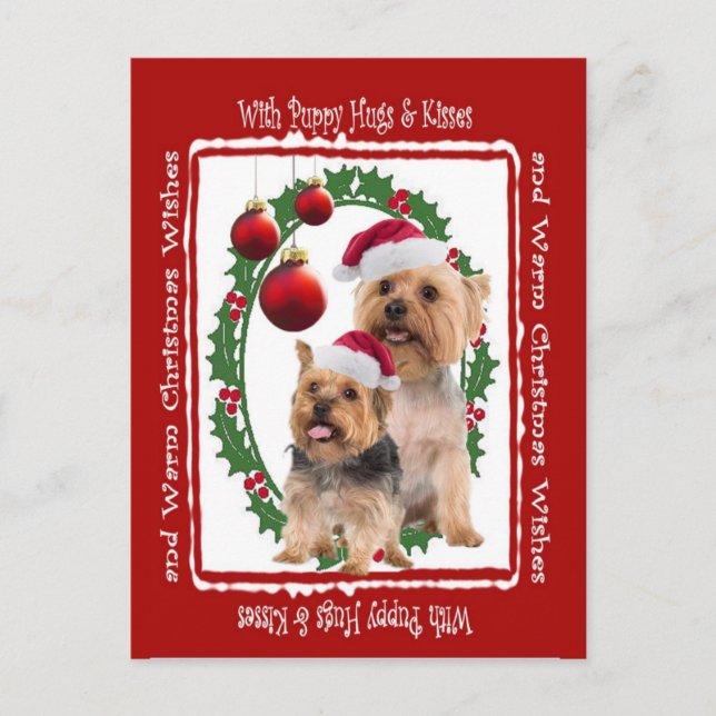 Silky Terrier Christmas Hugs and Kisses Postcard (Front)