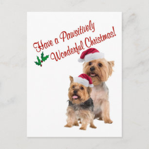 Silky Terrier Christmas Wishes Postcard