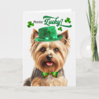 Silky Terrier Feelin' Lucky St Patrick's Day