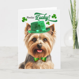 Silky Terrier Feelin' Lucky St Patrick's Day Holiday Card