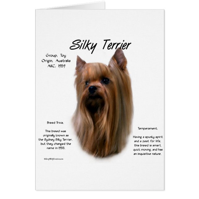 Silky Terrier History Design (Front)