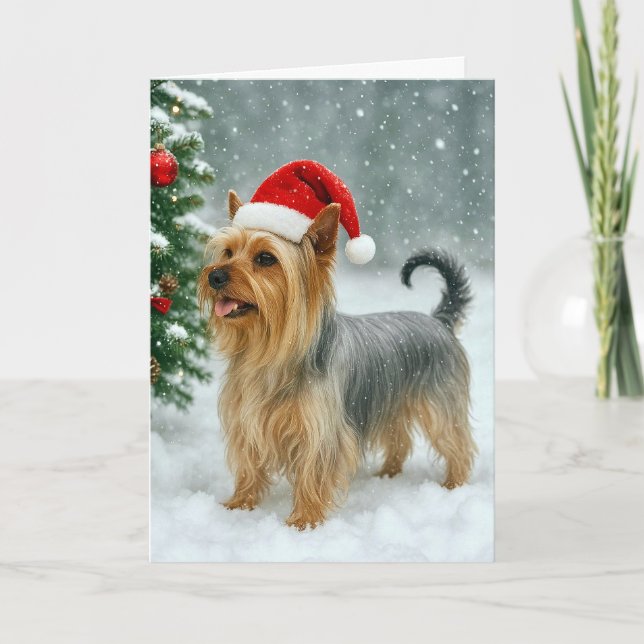 Silky Terrier Holiday Card (Front)