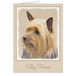 Silky Terrier Painting - Cute Original Dog Art