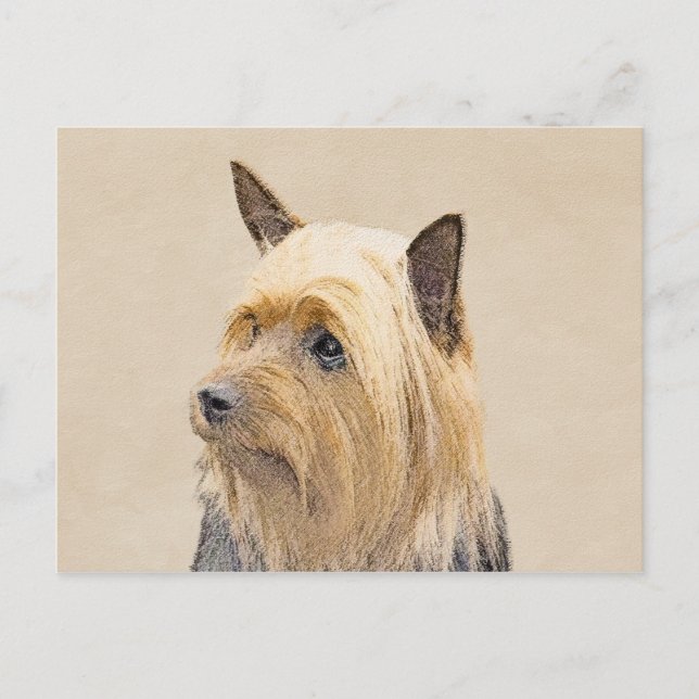 Silky Terrier Painting - Cute Original Dog Art Postcard (Front)