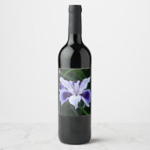 Silky White Purple Flower