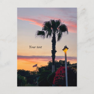 Sillouettes of Palm and Flag at sunset Postcard