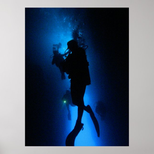 Silloyette Poster (Front)