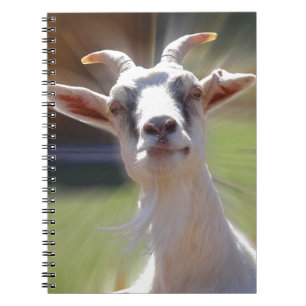 Silly BillyGoat Photograph Notebook