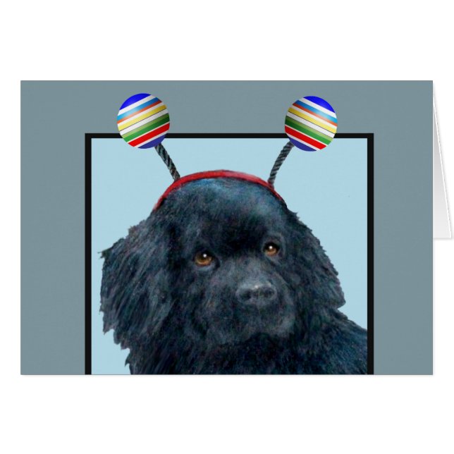 Silly Black Dog Blank Card (Front Horizontal)