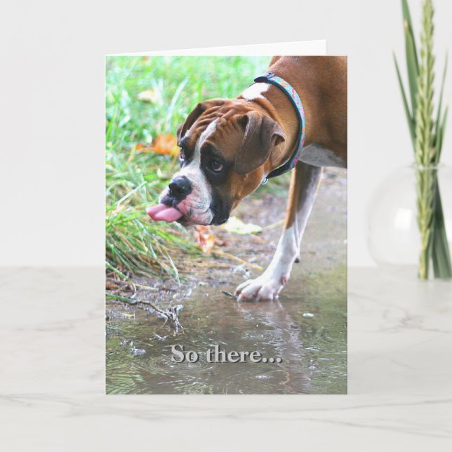 Silly Boxer Dog Tongue Sticking Out Greeting Card (Front)