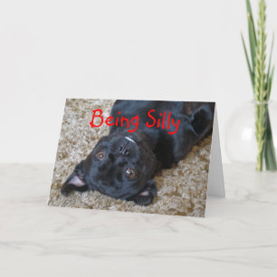 Silly Buggs dog, customise any occasion Card