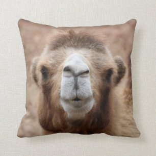 Silly Camel Photo Cushion