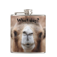 Silly Camel Photo (Customise)