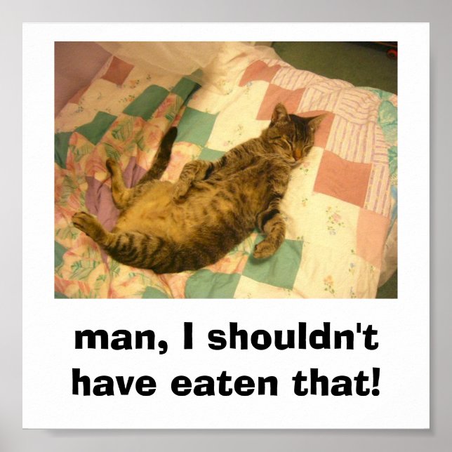 silly cat picture poster (Front)