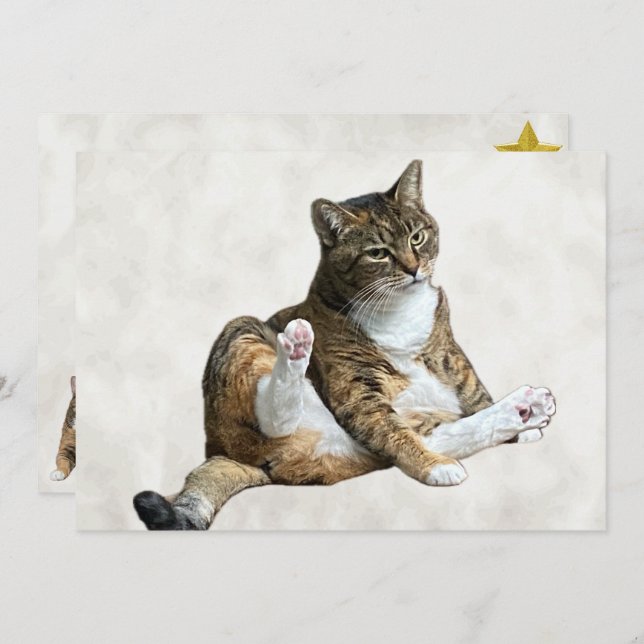 Silly Cat Pose - Annie's Flat Greeting Card (Front/Back)