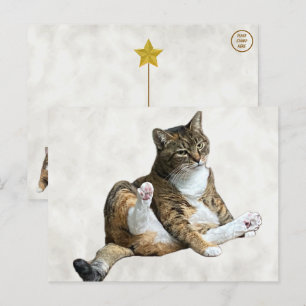 Silly Cat Pose - Annie's Postcard