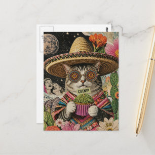 Silly Cat With Catnip Cupcake Collage Postcard
