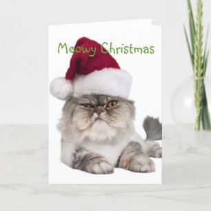 Silly Cat with Santa Hat Holiday Card