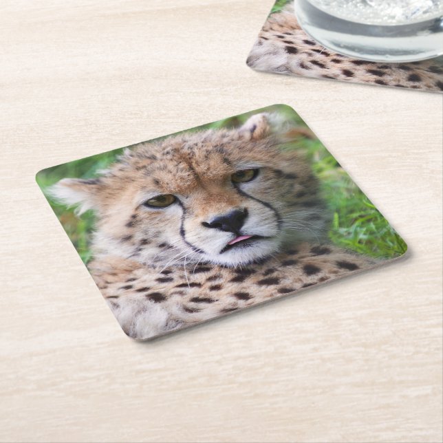 Silly Cheetah Cub Square Paper Coaster (Angled)