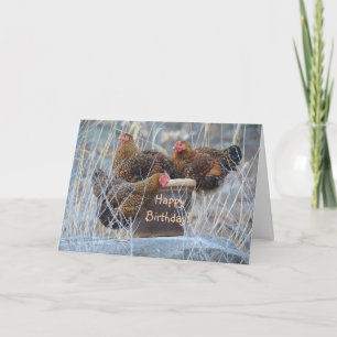 Silly Chickens Birthday Card