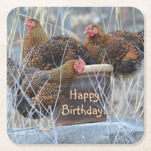 Silly Chickens Birthday Square Paper Coaster