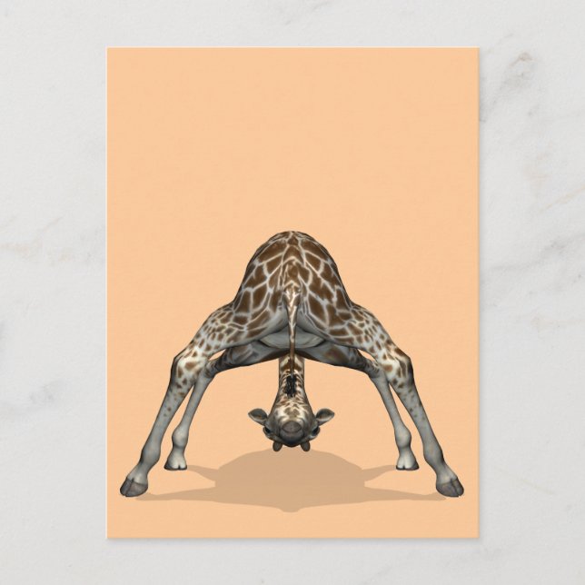 Silly Childish Flexible Giraffe Postcard (Front)