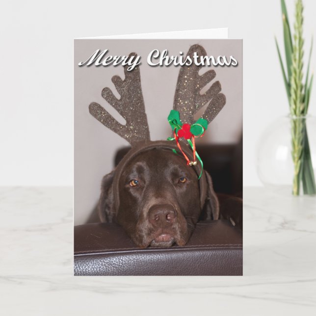 Silly Christmas Labrador With Festive lAntlers Holiday Card (Front)