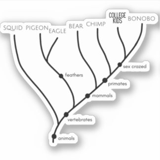 Silly Cladogram 3" x 3"  Vinyl Stickers