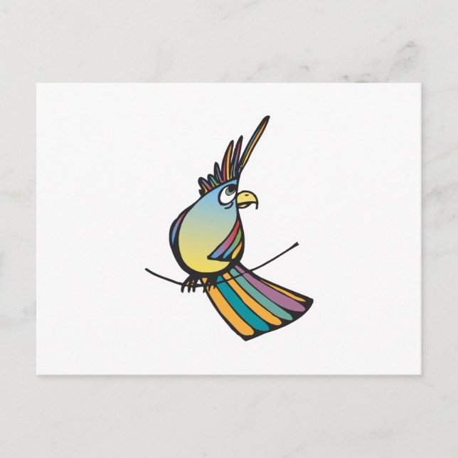 silly colourful parrot postcard (Front)