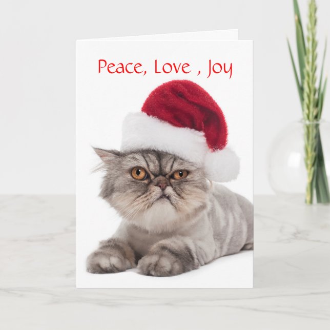 Silly Cranky Cat with Santa Hat Christmas card (Front)